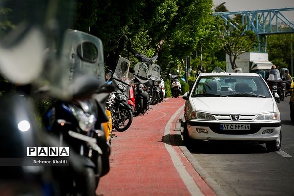 اینجا مسیر دوچرخه سواری است