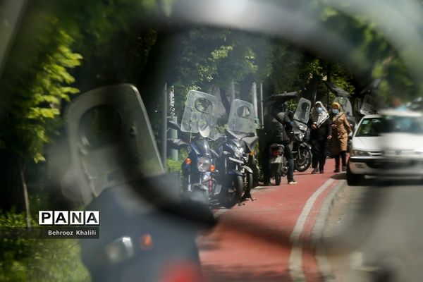 اینجا مسیر دوچرخه سواری است