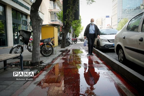 اینجا مسیر دوچرخه سواری است