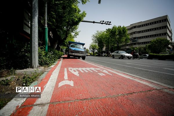 اینجا مسیر دوچرخه سواری است