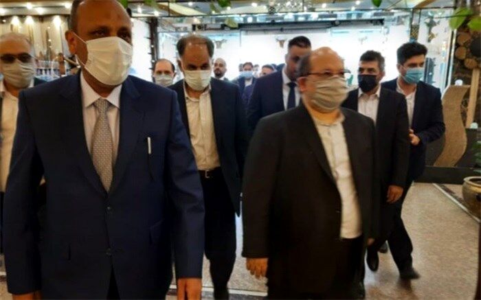وزیر تعاون و کار ایران وارد نجف شد