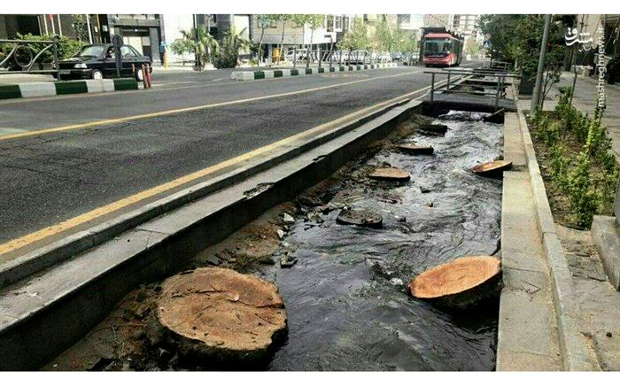 تبدیل خیابان ولیعصر به پیاده‌راه برای حفظ درختان آن
