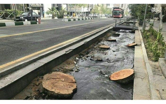 تبدیل خیابان ولیعصر به پیاده‌راه برای حفظ درختان آن
