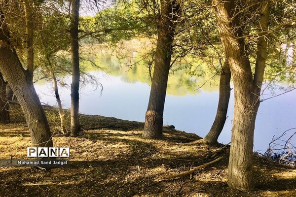 زیبایی فصل بهار در روستاهای بخش مرکزی چابهار