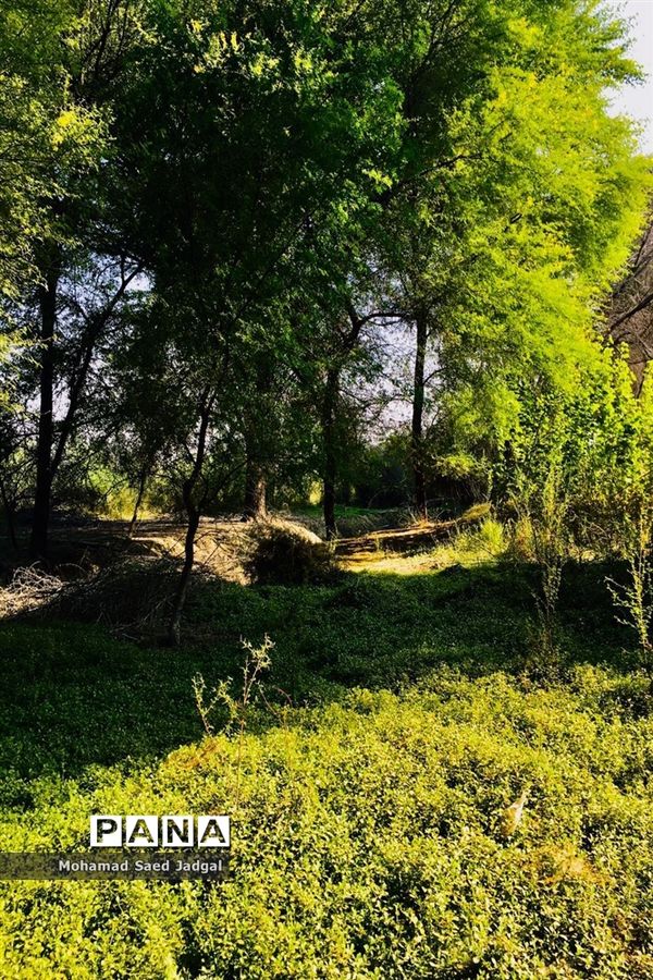 زیبایی فصل بهار در روستاهای بخش مرکزی چابهار