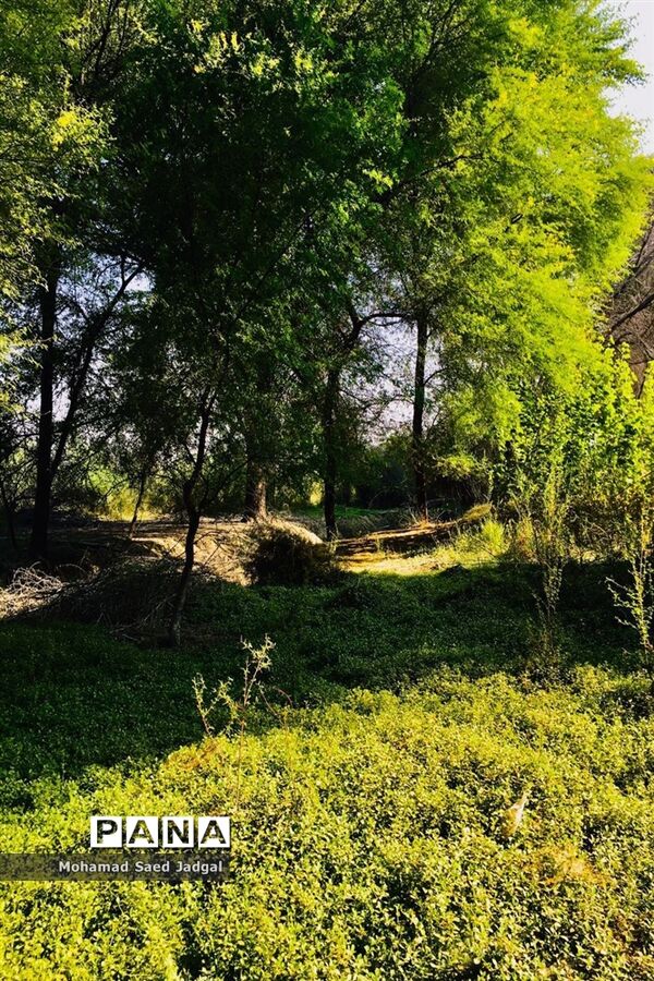 زیبایی فصل بهار در روستاهای بخش مرکزی چابهار