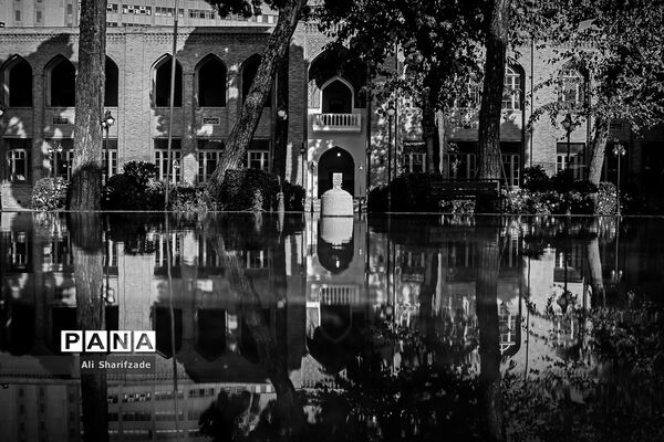 دارالفنون
