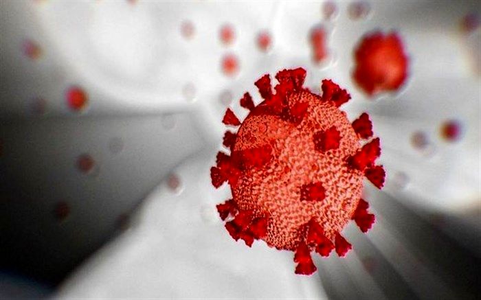 بستری های روزانه 4 برابر شده‌اند