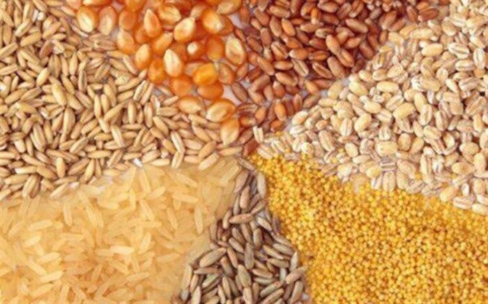 هیچ تخصیص ارزی برای واردات نهاده ها صورت نگرفته است