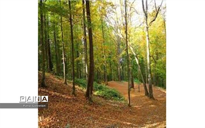 طرح حفاظت هوشمند از پارک ملی گلستان آماده بهره‌برداری است