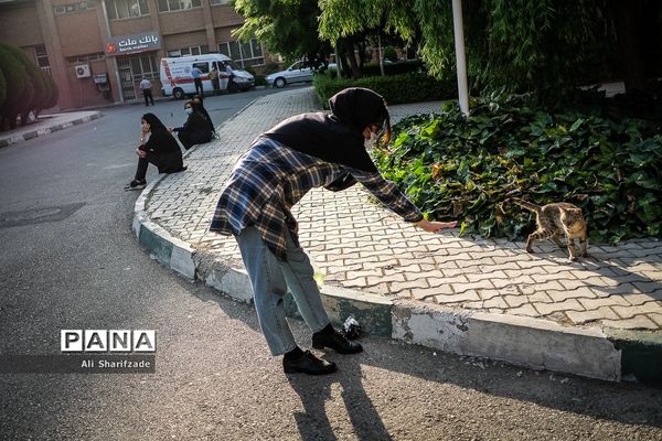 دقایقی  پیش از کنکور