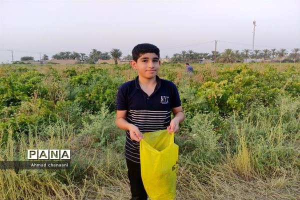 برداشت انگور در تاکستان‌های روستای بهر شهرستان کارون