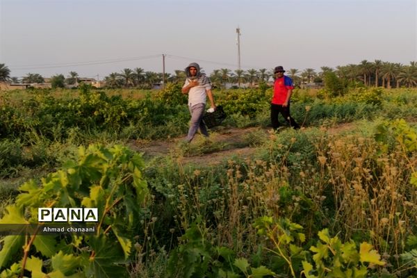 برداشت انگور در تاکستان‌های روستای بهر شهرستان کارون
