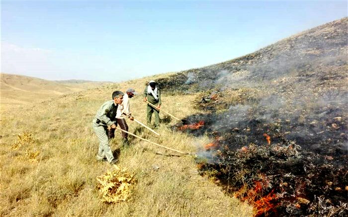 آتش به جان منطقه حفاظت شده باشگل تاکستان افتاد