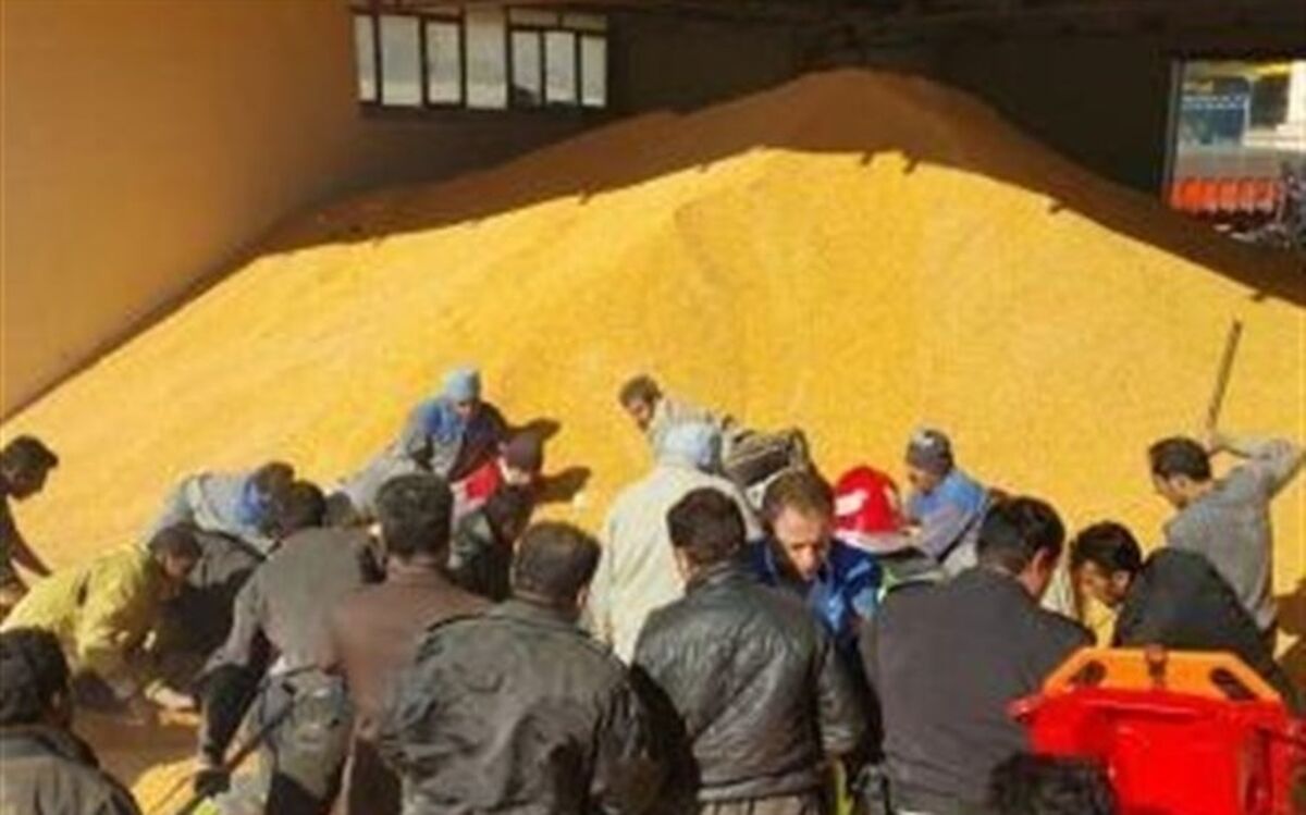 تاخیر در تامین کامیون عامل تشدید کندی روند بارگیری و تخلیه کالاهای اساسی