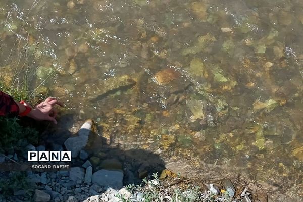 طبیعت زیبای روستای لاسم