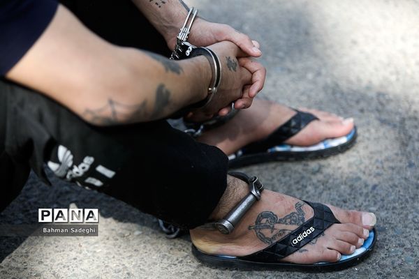 چهل و ششمین مرحله طرح رعد