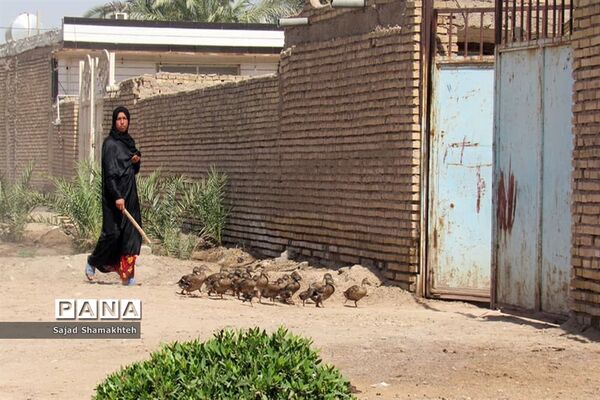 بازدید معاون توسعه روستایی و مناطق محروم رییس جمهوری از روستاهای دغاغله و بامدژ اهواز