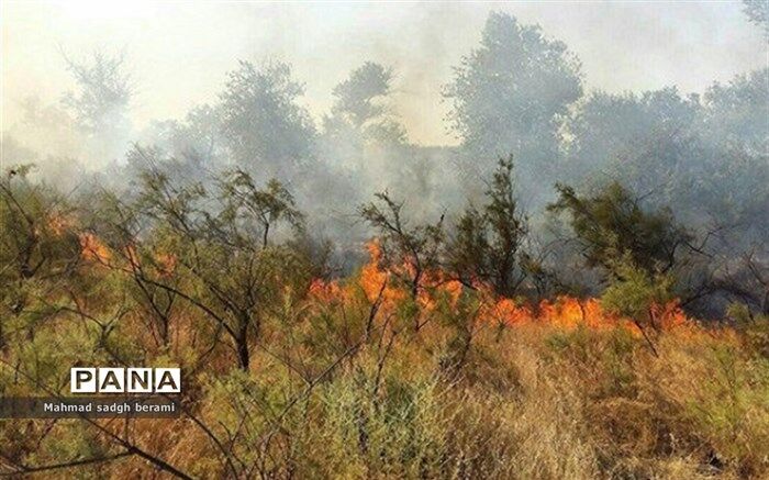 تلاش وزارت دفاع  برای مهار و کنترل آتش‌سوزی در کردستان و فارس