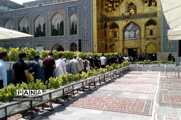 حال و هوای حرم مطهر رضوی در روز زیارتی  امام رضا علیه السلام