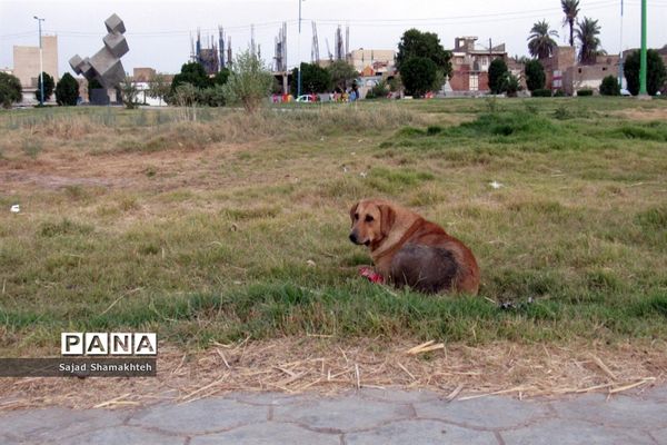 لب کارون ؛سمفونی روزهای خستگی و فرسودگی