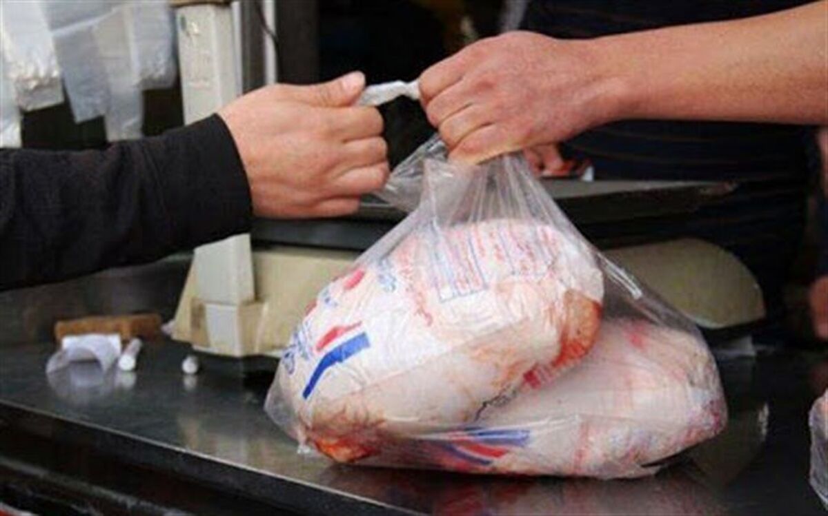 اقدام مشترک نظارتی بازرسی ها بر بازار مرغ