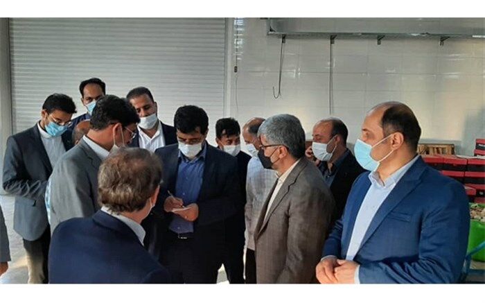 ۴۲۰هزار تن محصولات باغی در استان اردبیل تولید می شود