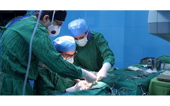 کاشت موفق ۱۷ حلزون شنوایی در قطب درمانی شمال کشور