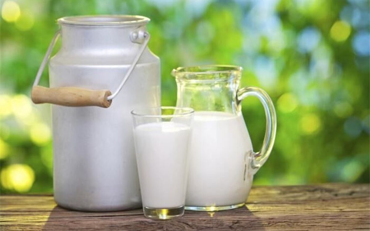 تصویب قیمت ۶۴۰۰ تومان برای شیر خام