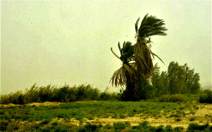 توفان گردوخاک با سرعت ۹۷ کیلومتر بر ساعت زابل را درنوردید