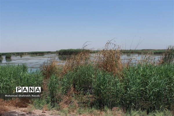 هور العظیم ؛انهدام زیبایی، ازدحام تنهایی