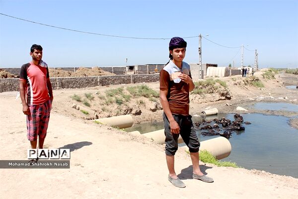 هور العظیم ؛انهدام زیبایی، ازدحام تنهایی