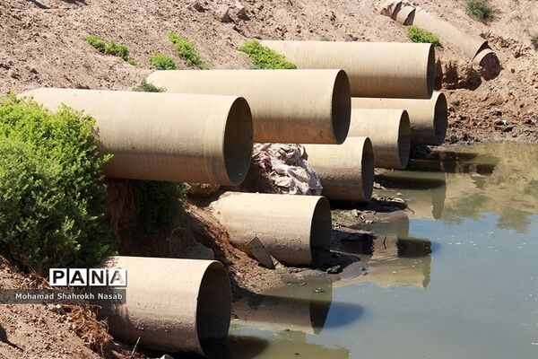 هور العظیم ؛انهدام زیبایی، ازدحام تنهایی