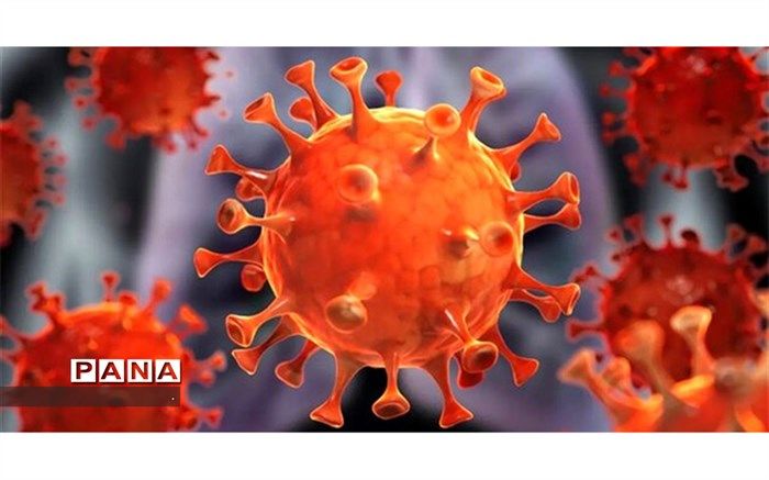 موج پنجم  دلتا کرونا  وارد خراسان شمالی شد