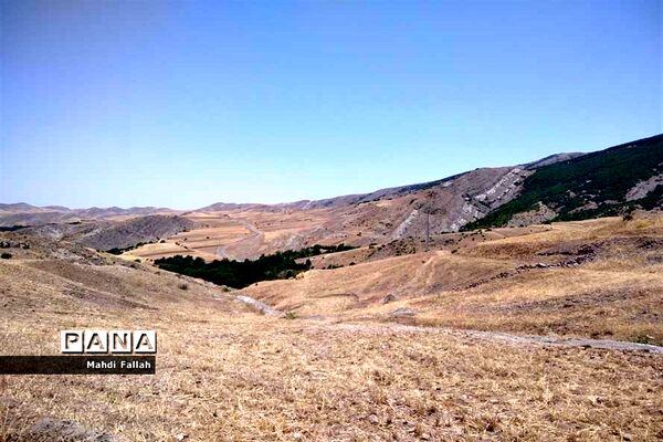 برداشت محصولات کشاورزی در روستای تنباکلوق  از توابع شهرستان هوراند