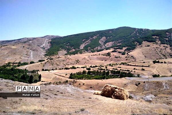 برداشت محصولات کشاورزی در روستای تنباکلوق  از توابع شهرستان هوراند