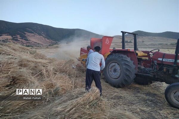 برداشت محصولات کشاورزی در روستای تنباکلوق  از توابع شهرستان هوراند