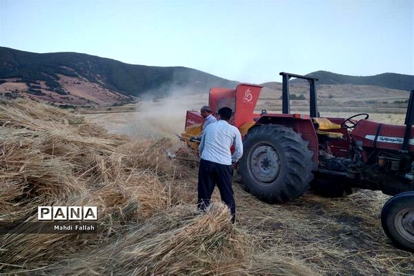 برداشت محصولات کشاورزی در روستای تنباکلوق  از توابع شهرستان هوراند