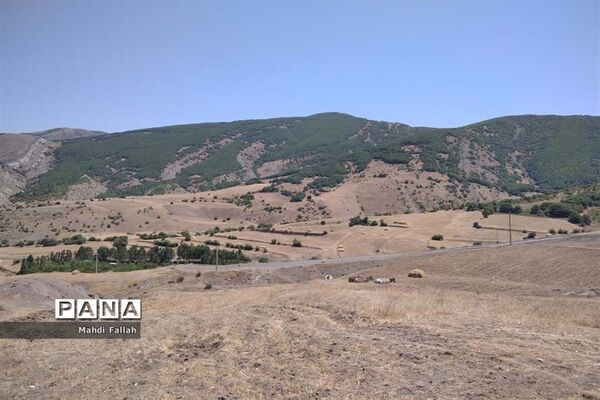 برداشت محصولات کشاورزی در روستای تنباکلوق  از توابع شهرستان هوراند