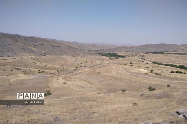 برداشت محصولات کشاورزی در روستای تنباکلوق  از توابع شهرستان هوراند