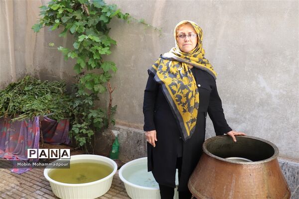 عرق گیری گیاه شاه اسپرم به روش سنتی  در تبریز