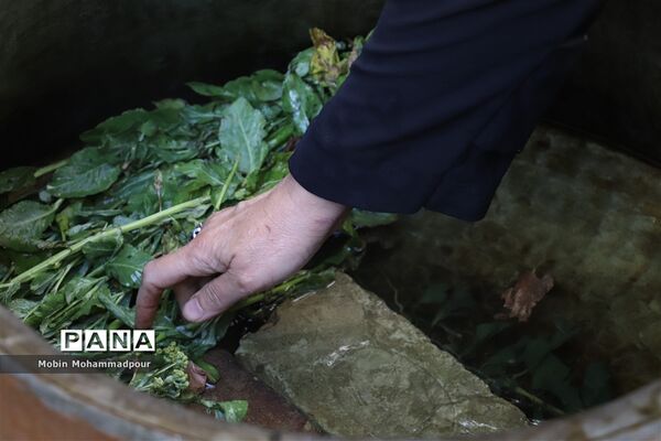 عرق گیری گیاه شاه اسپرم به روش سنتی  در تبریز