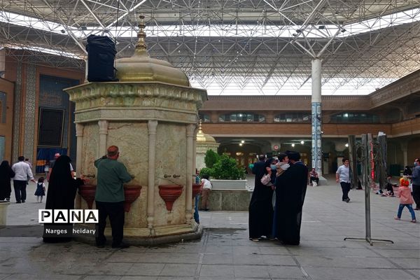 دیدار معنوی و زیبا پانا امیدیه از بارگاه ملکوتی حرم حضرت معصومه (س)