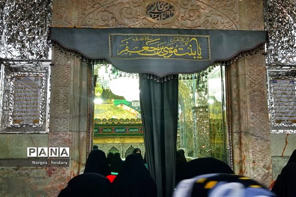 دیدار معنوی و زیبا پانا امیدیه از بارگاه ملکوتی حرم حضرت معصومه (س)