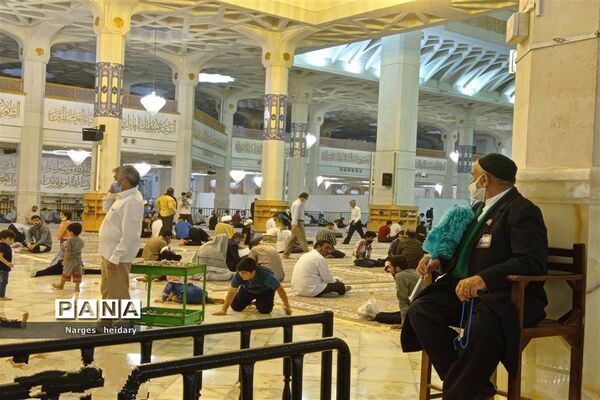 دیدار معنوی و زیبا پانا امیدیه از بارگاه ملکوتی حرم حضرت معصومه (س)