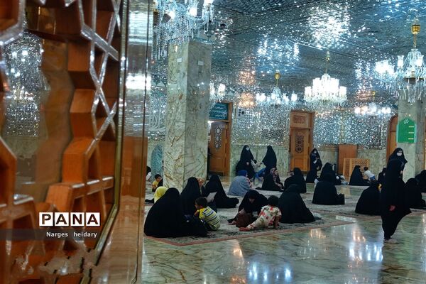 دیدار معنوی و زیبا پانا امیدیه از بارگاه ملکوتی حرم حضرت معصومه (س)