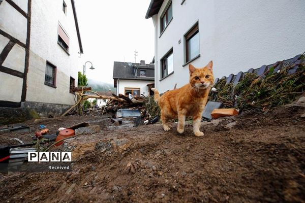 افزایش کشته‌ها در سیلاب های غرب اروپا