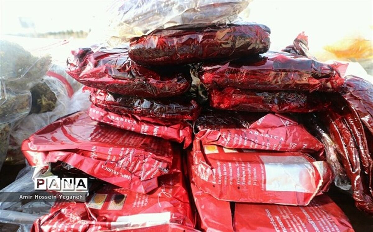 ۷۲ تن کالای قاچاق غیربهداشتی و غیراستاندارد در ۳ استان امحاء شد