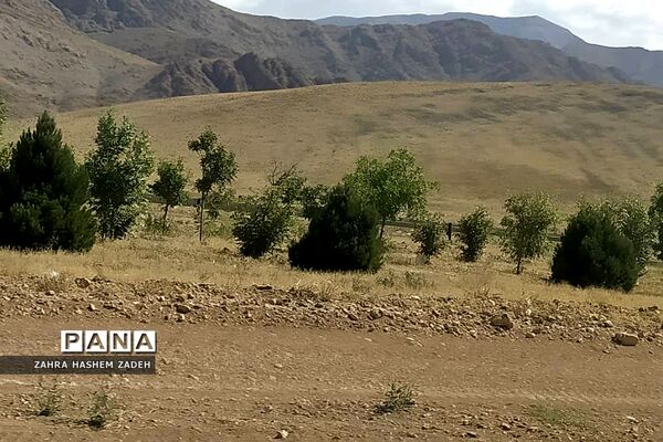 طبیعت زیبای روستای آئینه‌ورزان