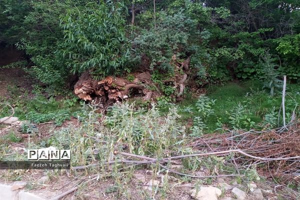 طبیعت زیبای دهستان قاضی کندی اوریاد